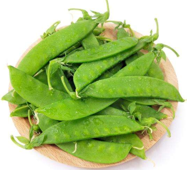 蔬菜配送—荷兰豆(图1) 蔬菜配送—荷兰豆(图1)