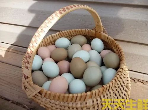 广州蔬菜配送告诉你常见鸡蛋有哪些品种?(图2) 广州蔬菜配送告诉你常见鸡蛋有哪些品种?(图2)