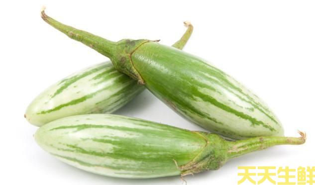 广州农产品配送公司告诉你,茄子的种类有哪些?(图9) 广州农产品配送公司告诉你,茄子的种类有哪些?(图9)