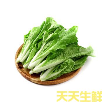 蔬菜配送—小白菜(图1) 蔬菜配送—小白菜(图1)