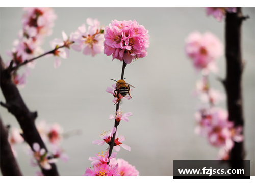 蝶恋花香，蜂采蜜意——探寻繁花似锦的多情季节